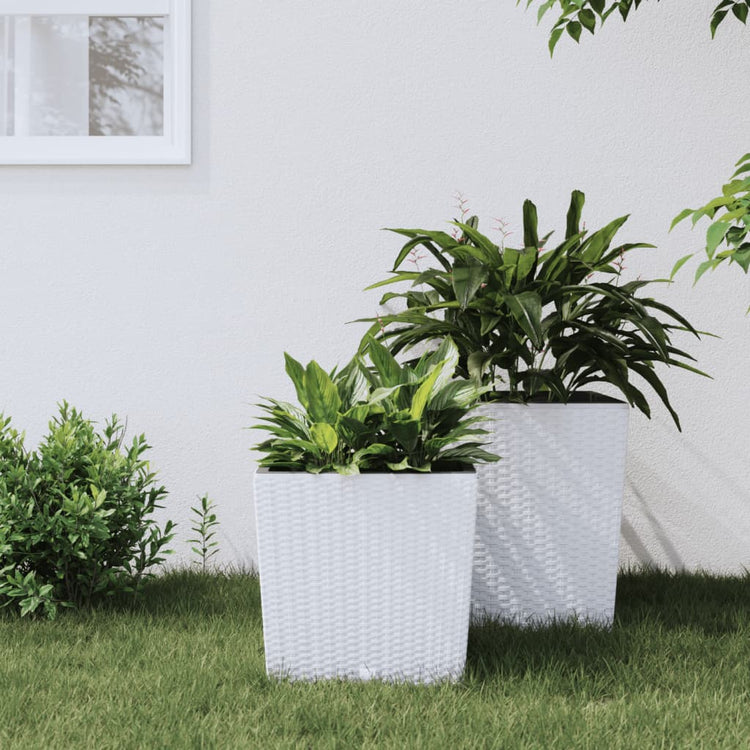 Vidaxl -Planer mit abnehmbarem Bak Rattan Look 21 32 L PP Weiß