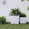 Vidaxl -Planer mit abnehmbarem Bak Rattan Look 37 64 L PP Weiß