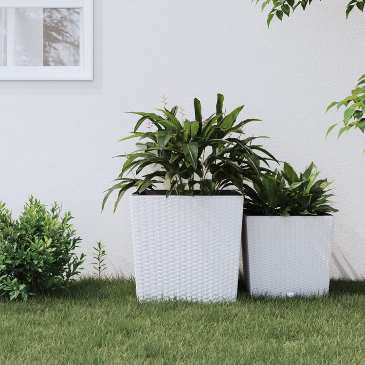Vidaxl -Planer mit abnehmbarem Bak Rattan Look 37 64 L PP Weiß