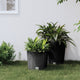 VIDAXL -Pflanzer entfernbarer Bak Rattan Look 15 15,3 l PP Anthrazit