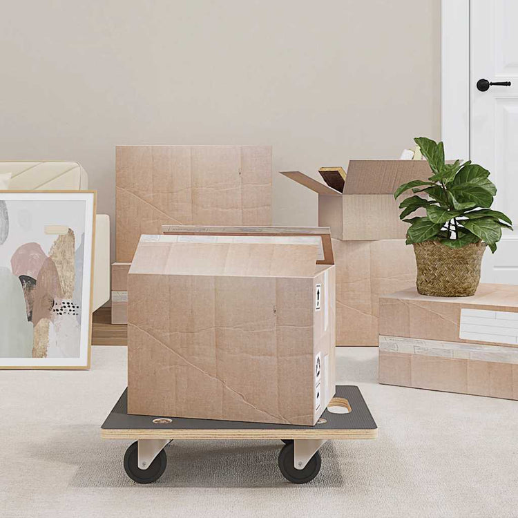 VIDAXL -Möbelhunde 2 St rechteckige 250 kg 50x35x11.5 cm