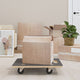 VIDAXL -Möbelhunde 2 St rechteckige 250 kg 60x40x11.5 cm