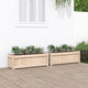 VIDAXL -Pflanzer 2 pc cm Festkiefer
