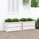 Vidaxl -Pflanzer 2 PC CM Festkiefer weiß