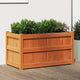 VIDAXL -Planungsbox 90x50x50 cm Festkiefer Wäschebraun