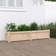 VIDAXL -Pflanzer 150x31x31 cm Festkiefer