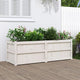 VIDAXL -Pflanzer 150x50x50 cm Festkiefer weiß