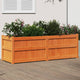 VIDAXL -Pflanzer 150x50x50 cm Festkiefer Wäschebraun