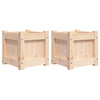 VIDAXL -Pflanzer 2 pc cm Festkiefer