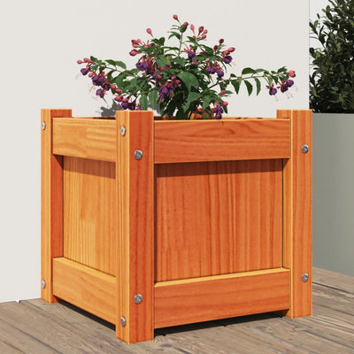 VIDAXL -Planungsbox 31x31x31 cm Festkiefer Wäsche Braun