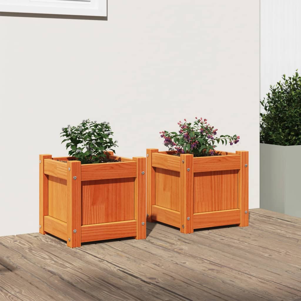 Vidaxl -Pflanzer 2 pc cm Festkiefer Wäsche braun
