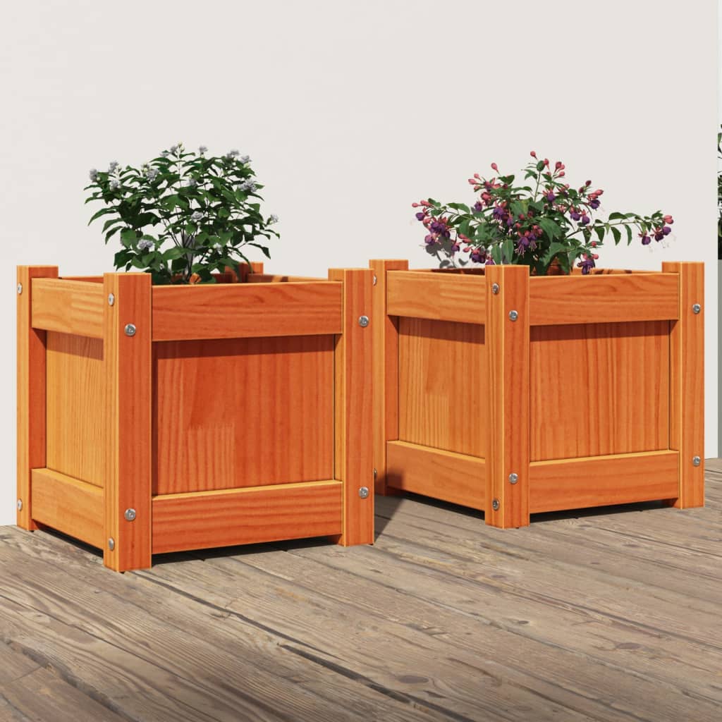 Vidaxl -Pflanzer 2 pc cm Festkiefer Wäsche braun