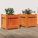 Vidaxl -Pflanzer 2 pc cm Festkiefer Wäsche braun