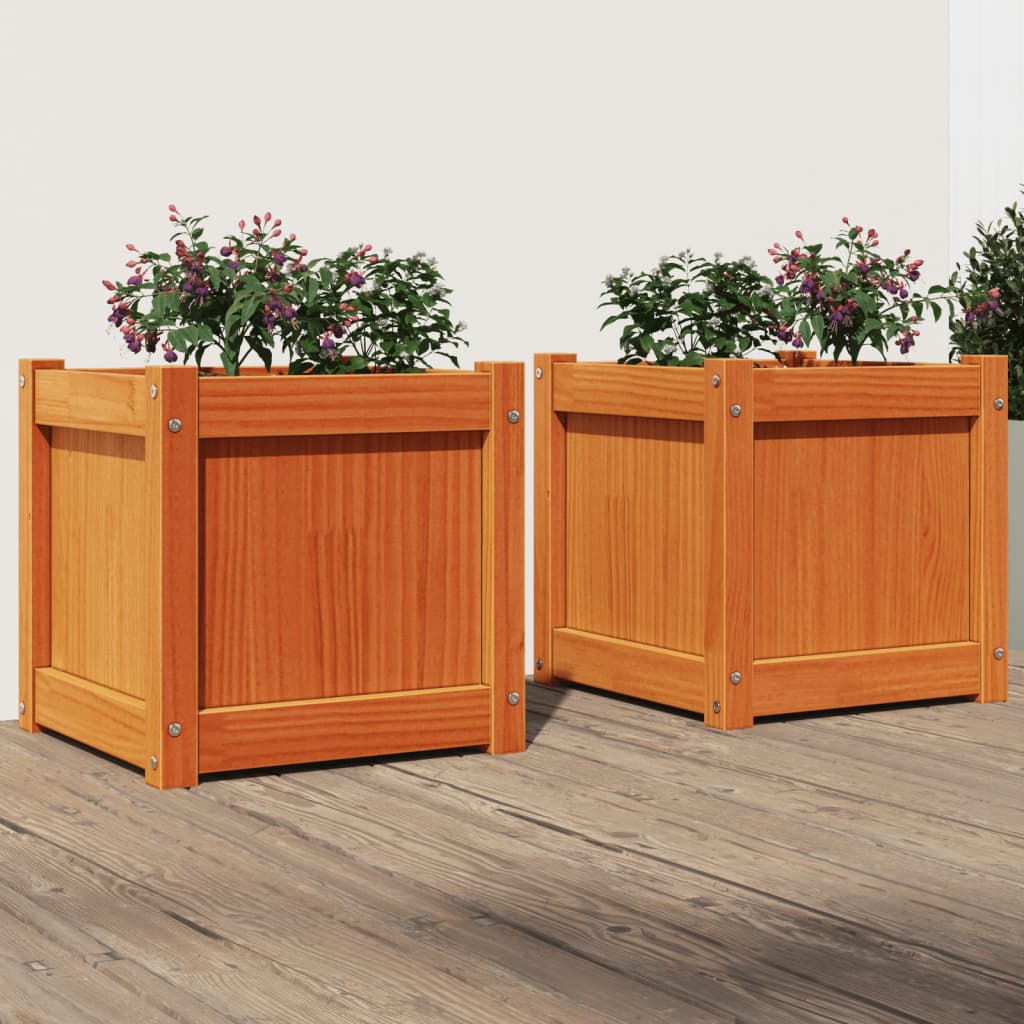 Vidaxl -Pflanzer 2 pc cm Festkiefer Wäsche braun