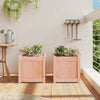 Vidaxl -Pflanzer 2 PCs Solid Douglashout