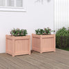 Vidaxl -Pflanzer 2 PCs Solid Douglashout