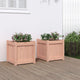 Vidaxl -Pflanzer 2 PCs Solid Douglashout