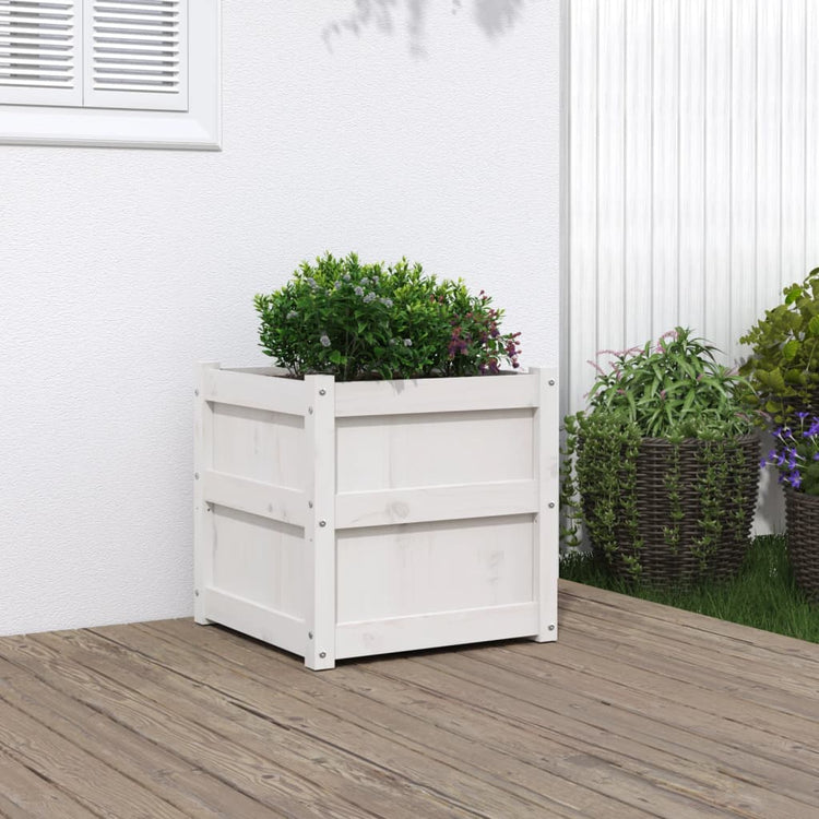 VIDAXL -Planungsbox 50x50x50 cm Festkiefer weiß