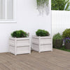 Vidaxl -Pflanzer 2 PC CM Festkiefer weiß