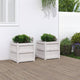 Vidaxl -Pflanzer 2 PC CM Festkiefer weiß