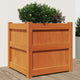 VIDAXL -Pflanzer 50x50x50 cm Festkiefer Wäsche braun