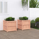 Vidaxl -Pflanzer 2 PCs Solid Douglashout
