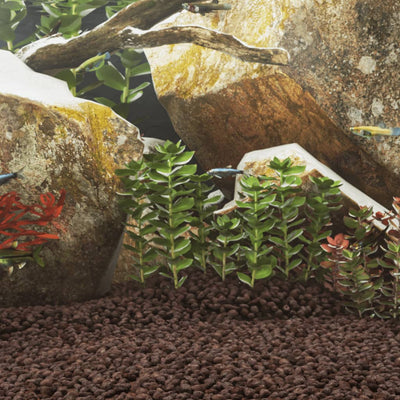 VidaXL Lavasteine 10 kg 1-2 cm rot
