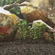 Vidaxl Lava Stones 25 kg 1-2 cm schwarz