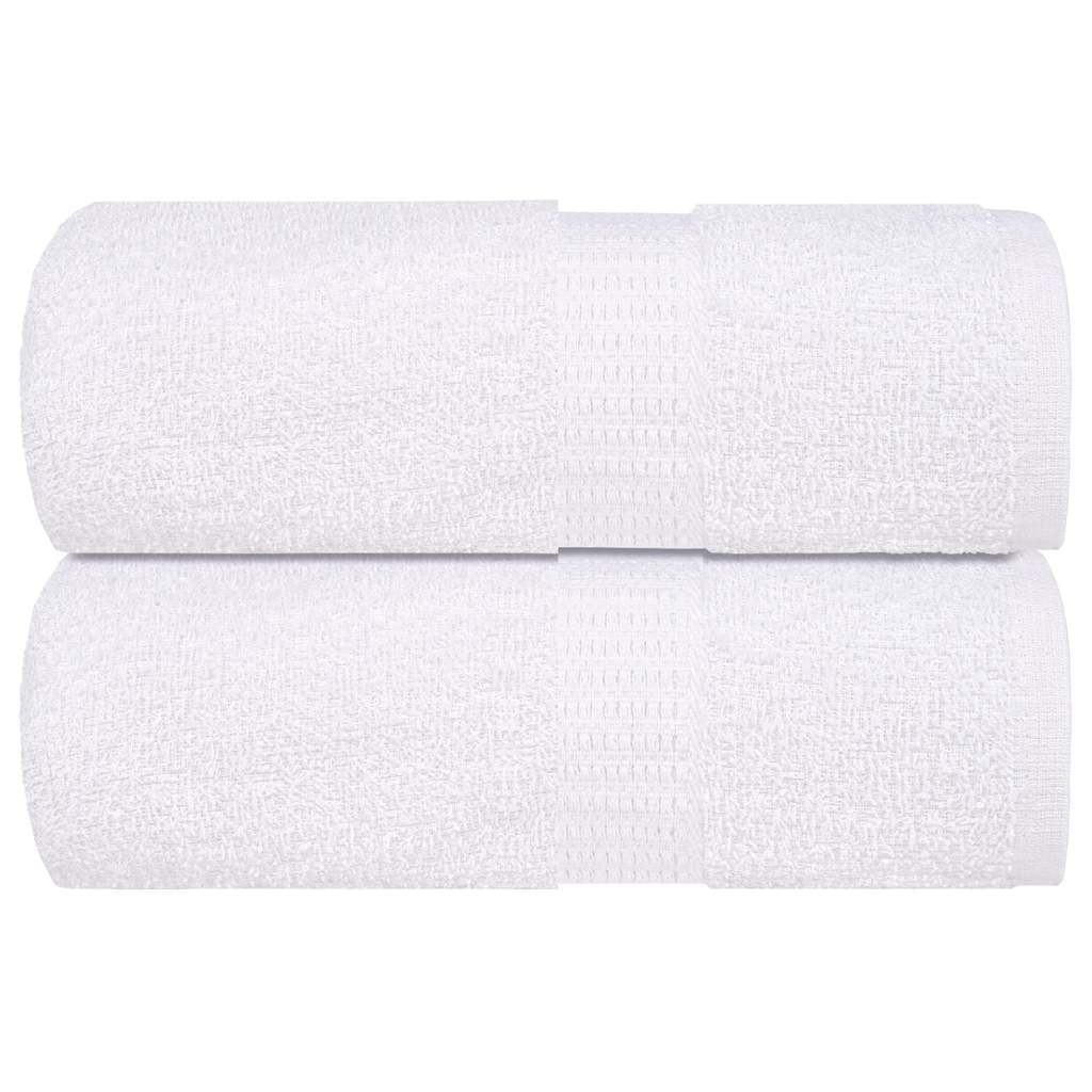 Vidaxl Waschlappen 2 ST 15x21 cm 360 g m² 100% Baumwollweiß