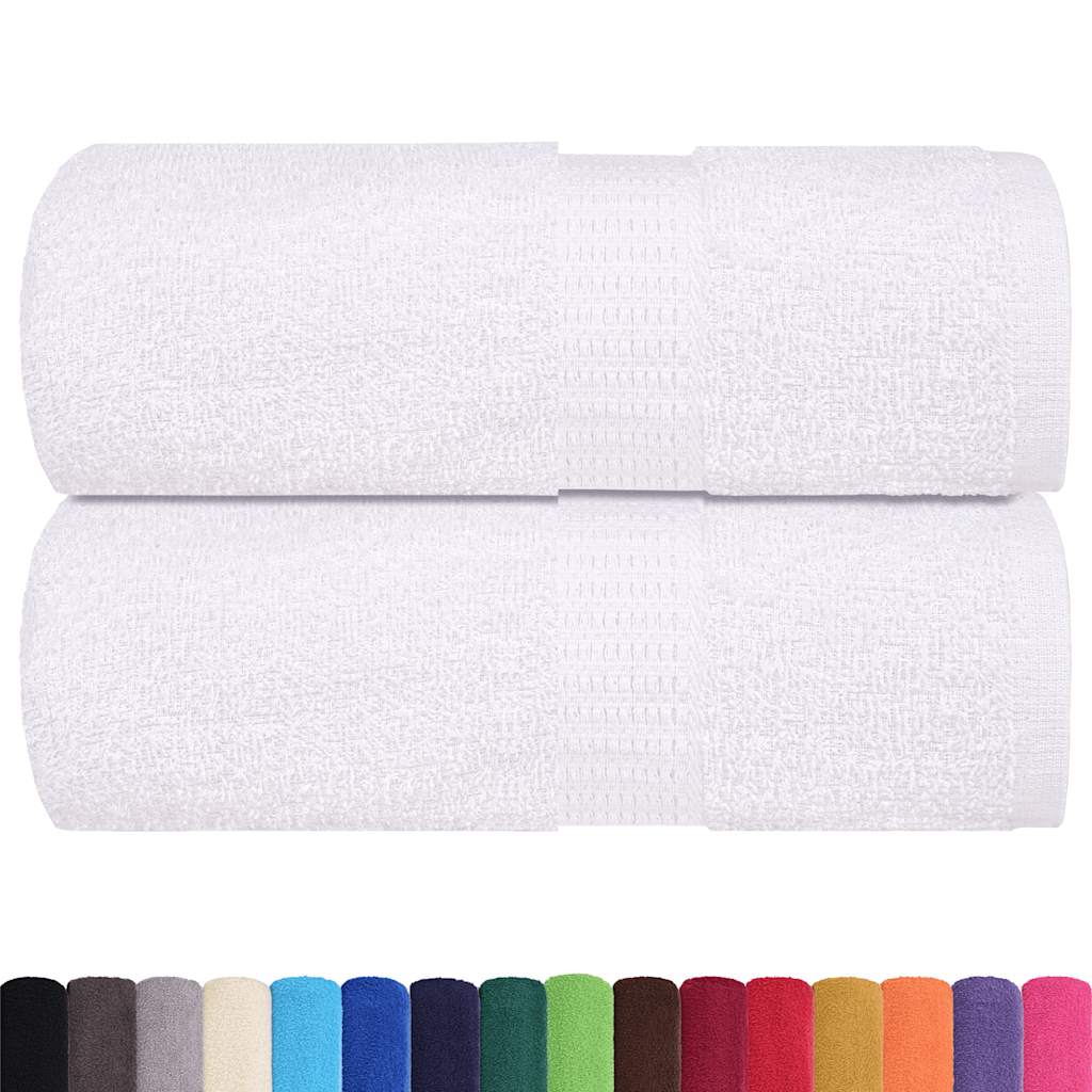 Vidaxl Waschlappen 2 ST 15x21 cm 360 g m² 100% Baumwollweiß