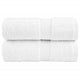 Vidaxl Gäste Wipes Solund 2 ST 600 g m² 30 x 30 cmtoen Weiß
