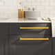 Vidaxx Griffe 10 Stück 320 mm Edelstahl goldfarben