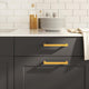 Vidaxx Griffe 10 Stück 160 mm Edelstahl goldfarben