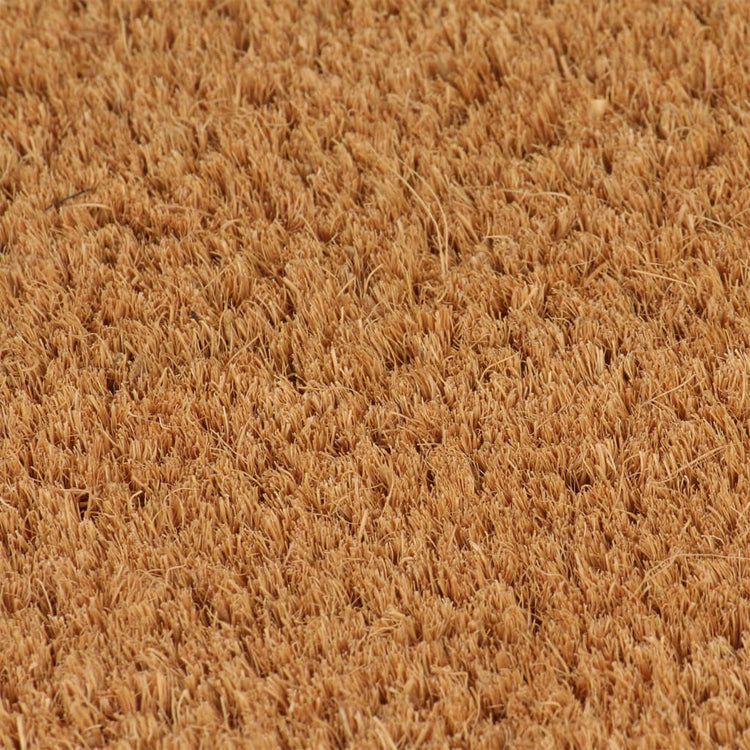 Vidaxl -Fußmatten 2 PCs 40x60 cm Tufted Kokosfaser Natural