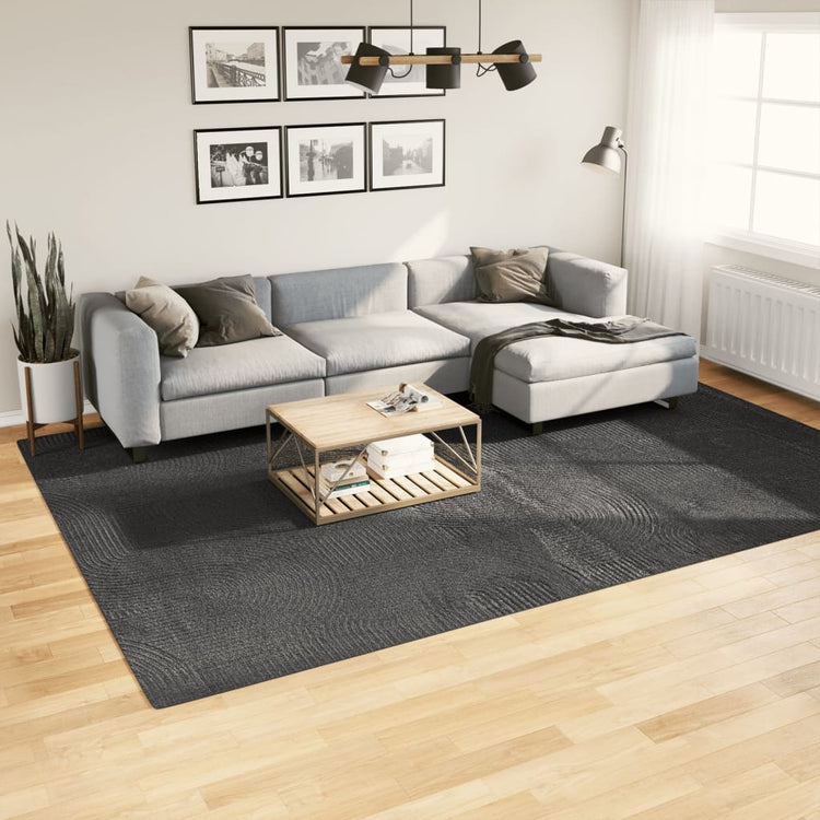 VidaXL Teppich Iza Niedrigflor skandinavisch 240x340 cm Anthrazit