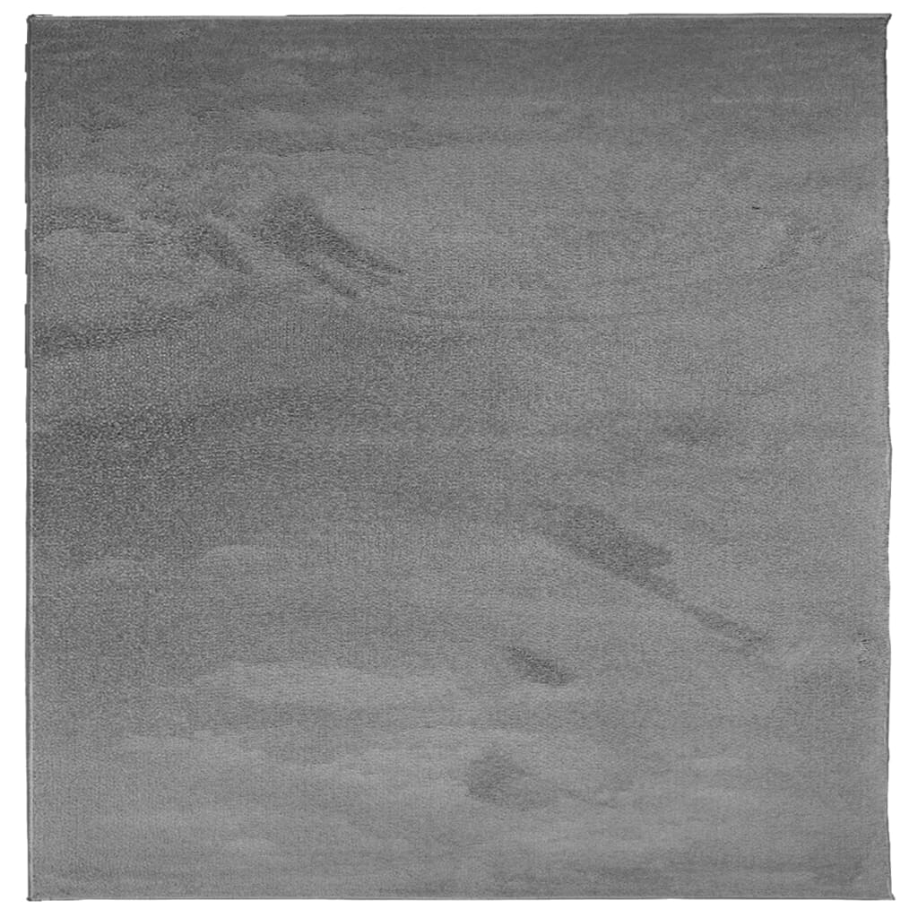 VidaXL Teppich Oviedo Niederflor 240x240 cm Anthrazit