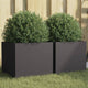 Vidaxl -Pflanzer 2 ST 32x30x29 cm Stahlschwarz