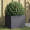 VIDAXL -Planungsbox 32x30x29 cm kalt -gerolltes Stahl -Anthrazit -Colored