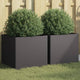 Vidaxl Pflanzer 2 ST 42x40x39 cm Stahlschwarz