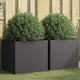 Vidaxl Pflanzer 2 ST 49x47x46 cm kalt -gerolltes Stahl Schwarz