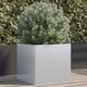 VIDAXL -Planungsbox 49x47x46 cm verzinkter Stahl Silber gefärbt