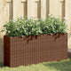 Vidaxx Pflanzgefäße mit 2 Töpfen 2 Stk. 90x20x40 cm Polyrattan braun