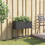 Vidaxl Plannet mit Schap Poly Rattan Black - afbeelding 3