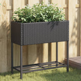 Vidaxl Plannet mit Schap Poly Rattan Black - afbeelding 1