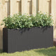 Vidaxx Pflanzgefäß mit 2 Töpfen 90x20x40 cm Polyrattan schwarz