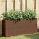Vidaxx Pflanzgefäß mit 2 Töpfen 90x20x40 cm Polyrattan braun