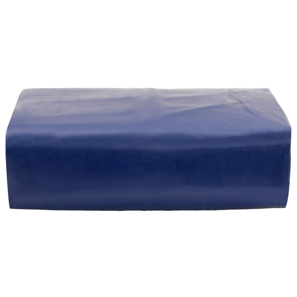 VIDAXL -Gerät 650 g m² 4x6 m blau