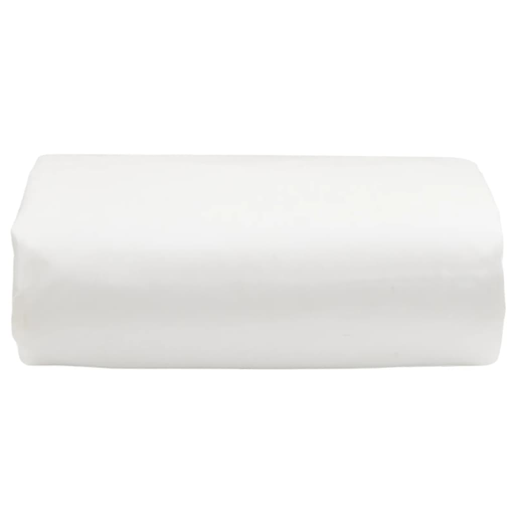 Vidaxl -Gerät 600 g m² 5x8 m Weiß