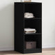 Vidaxl Garderobe 48x41x102 cm propertiertes Holzschwarz