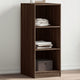 VIDAXL -Garderobe 48x41x102 cm praktische Holzbraune -Eichefarbe